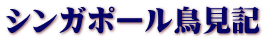 シンガポール鳥見記 